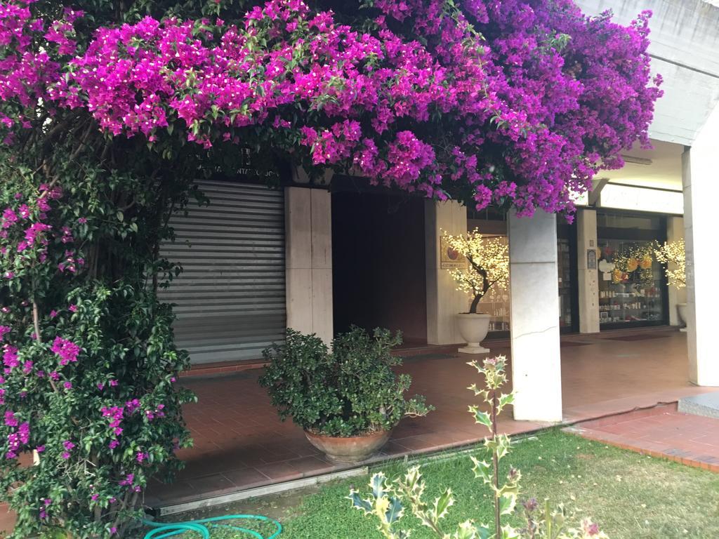 Il Parco Apartments Marina di Massa Exterior photo